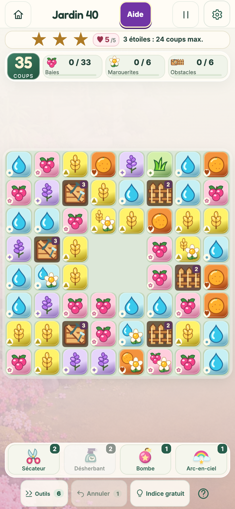 Jardin 40 : Les jardins Sakura, plateau initial